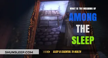 The Haunting Meaning Behind 'Among the Sleep