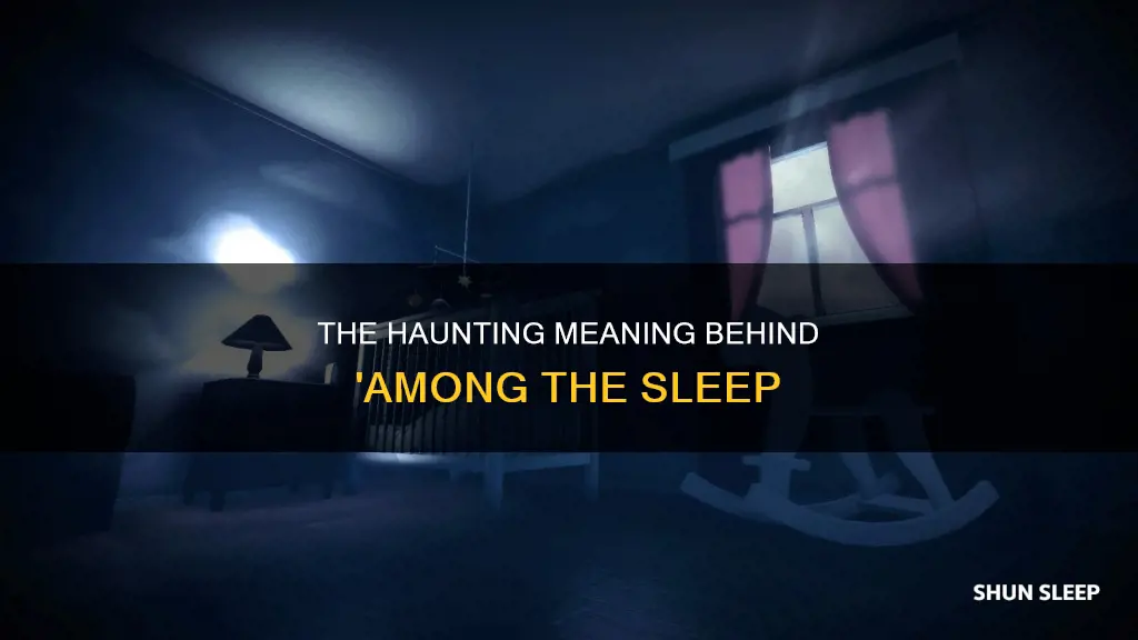 what is the meaning of among the sleep