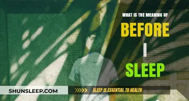 The Meaning of 'Before I Sleep': Exploring Nighttime Reflections
