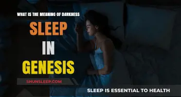 Genesis' Darkness and Sleep: A Divine Interpretation