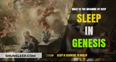 Exploring Genesis: Understanding Deep Sleep's Meaning