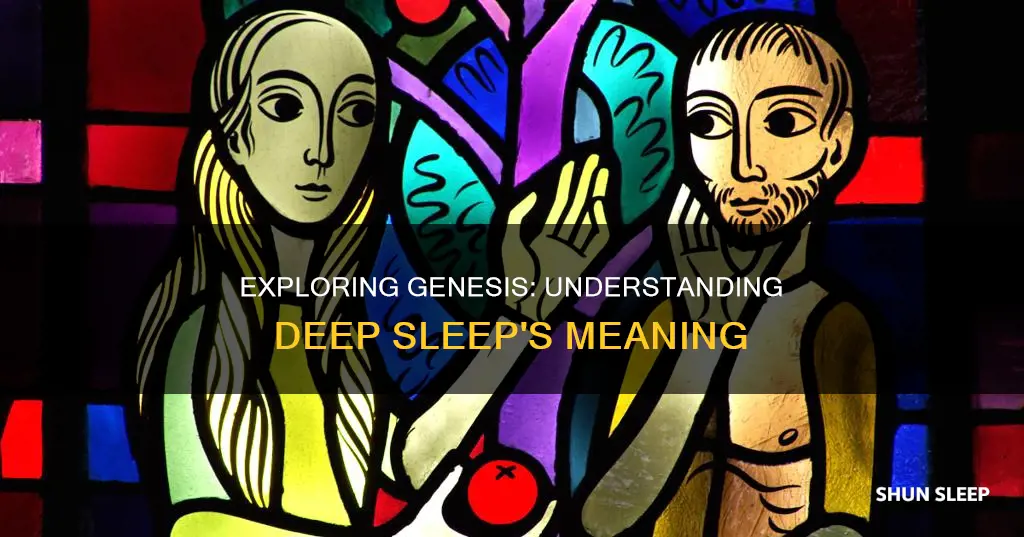 what is the meaning of deep sleep in genesis