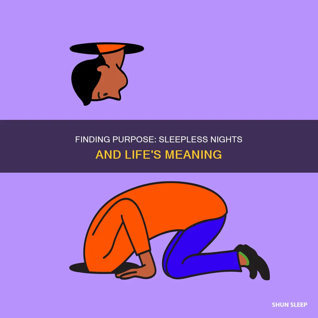 what is the meaning of life cant sleep
