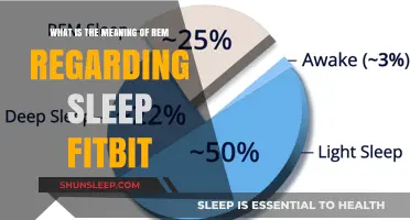 Understanding REM Sleep with Fitbit
