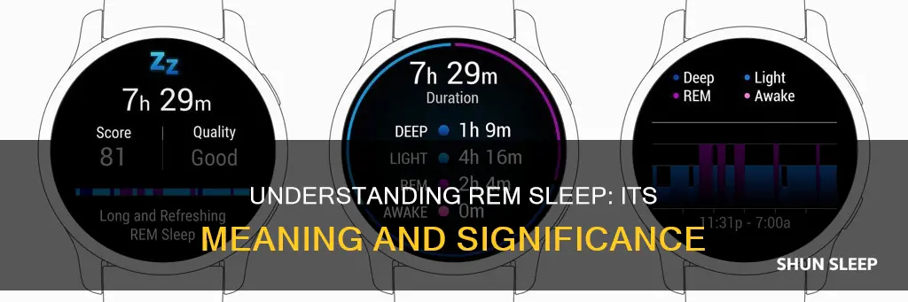 what is the meaning of rem sleep