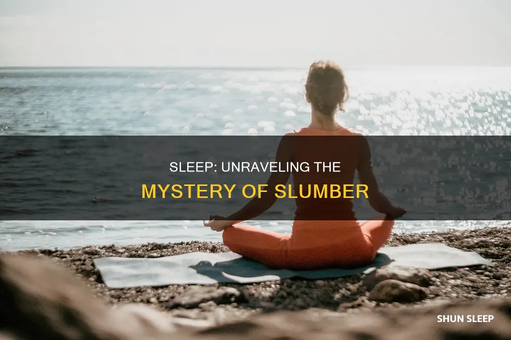 what is the meaning of sleep answer