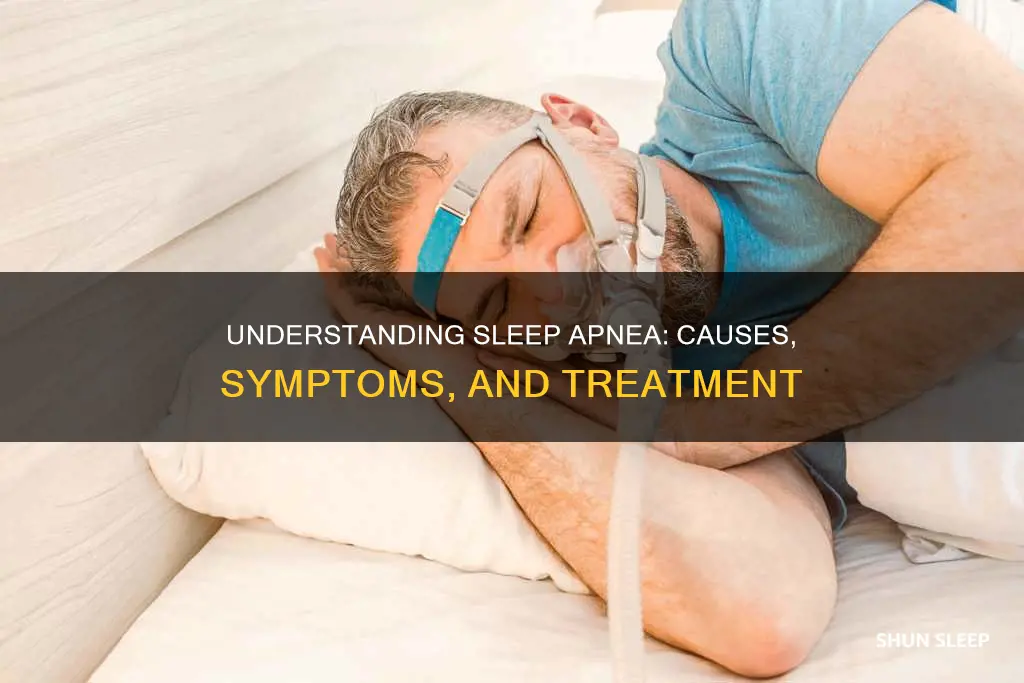 what is the meaning of sleep apnoea