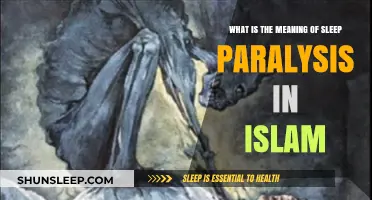 Sleep Paralysis: An Islamic Perspective on Its Meaning