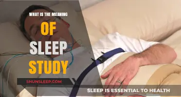 Understanding Sleep: The Science of Sleep Studies