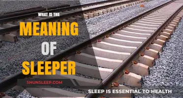 Uncover the Mystery of Sleepers: Their True Meaning