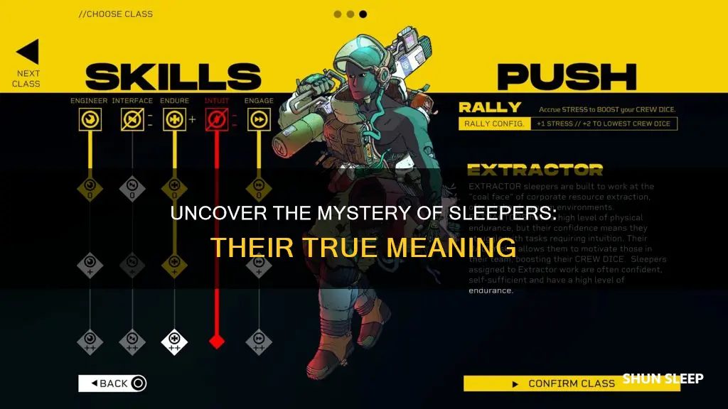 what is the meaning of sleeper