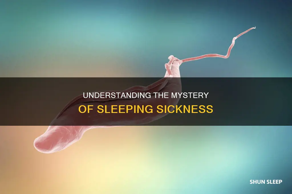 what is the meaning of sleeping disease