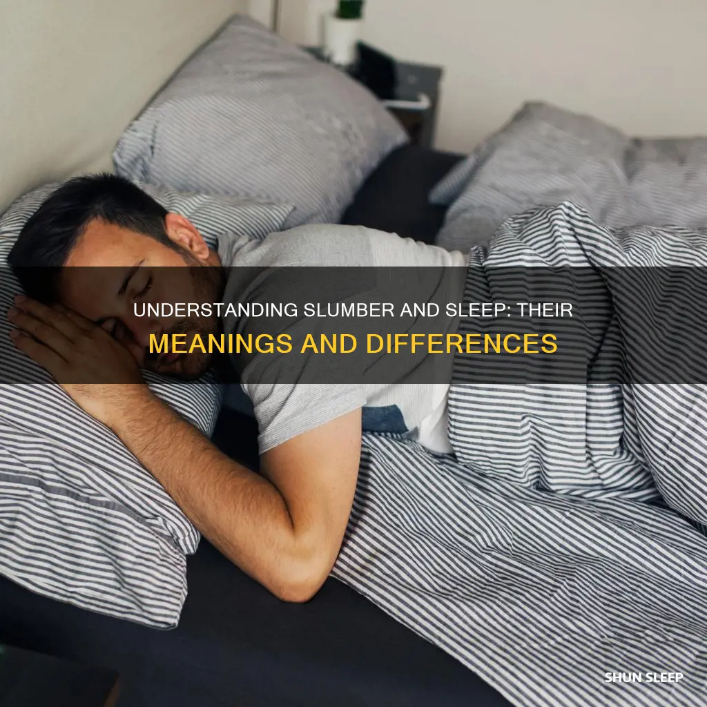 what is the meaning of slumber and sleep