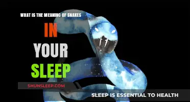 Dreaming of Snakes: Uncover the Hidden Meanings