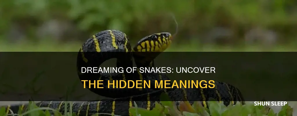 what is the meaning of snakes in your sleep