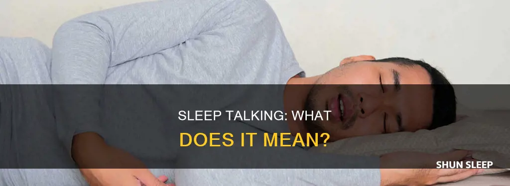 what is the meaning of talking while sleeping