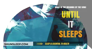 Exploring the Dark Meaning of 'Until it Sleeps