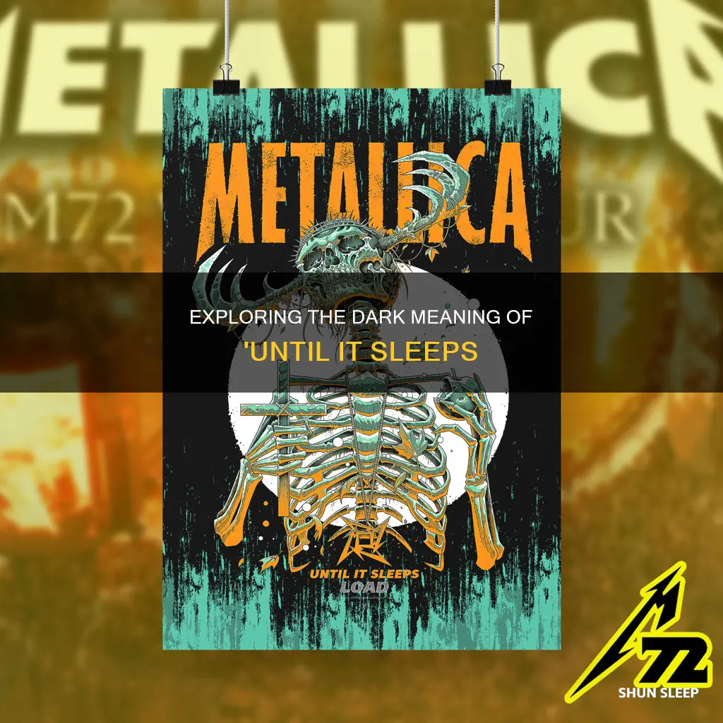 what is the meaning of the song until it sleeps