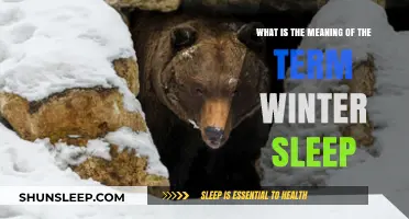 The Mystery of Winter Sleep Explained