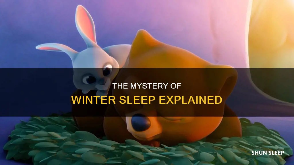 what is the meaning of the term winter sleep