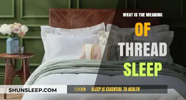 Understanding Thread Sleep: A Basic Concept in Java
