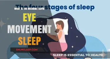Understanding Rapid Eye Movement Sleep