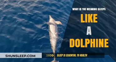 How to Sleep Like a Dolphin: Peaceful Rest