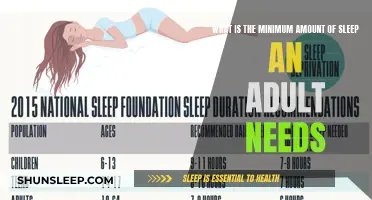 Sleep Needs: How Much Rest Do Adults Require?
