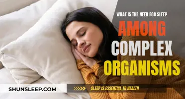 Why Complex Organisms Need Sleep: Unraveling the Mystery