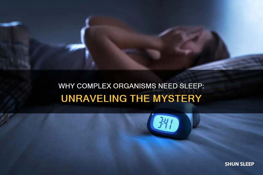 what is the need for sleep among complex organisms