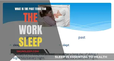 Understanding Sleep's Past Tense: Dreamy Adventures Explained