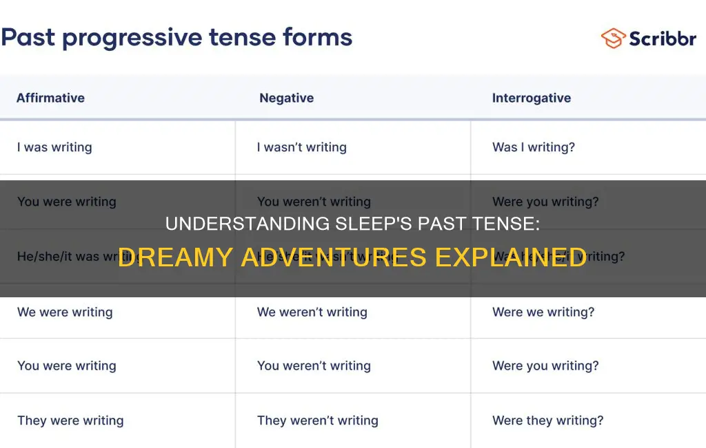 what is the past tense for the work sleep