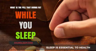Fat-Burning Pills: Sleep and Melt Away