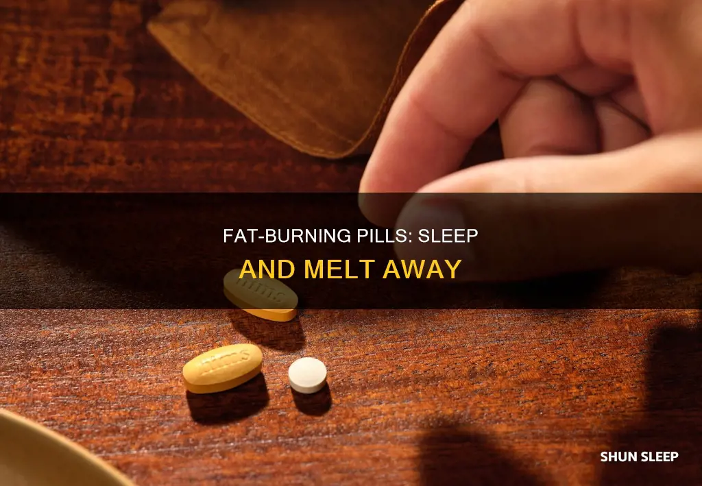 what is the pill that burns fat while you sleep