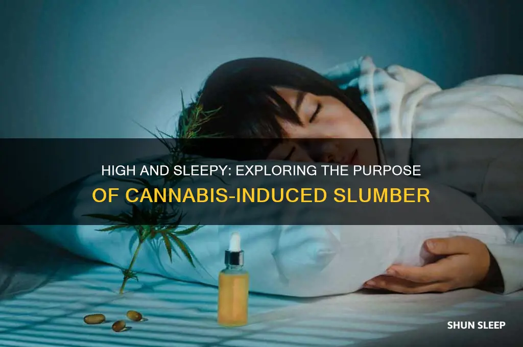 what is the pount of getting high and sleeping