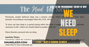 Sleep's Purpose: Brain Maintenance Theory Explains Our Slumber