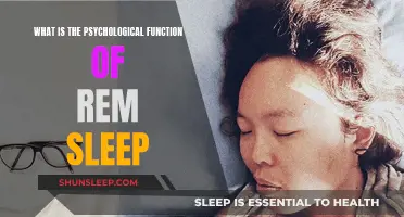 Understanding REM Sleep: Unlocking the Mind's Psychological Functions