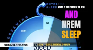 Understanding Sleep Cycles: REM and NREM Explained