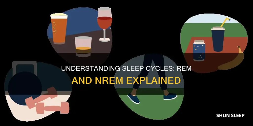 what is the purpose of rem and nrem sleep