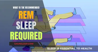 Understanding the Ideal REM Sleep Requirement