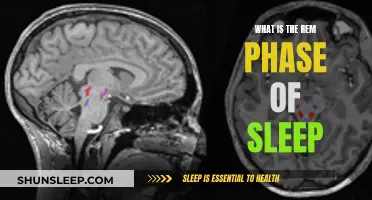 REM Sleep: Understanding the Rapid Eye Movement Phase