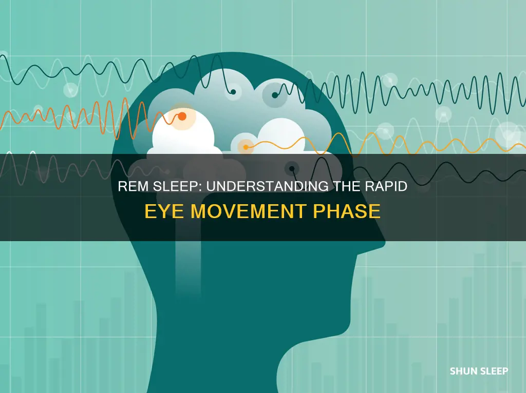 what is the rem phase of sleep