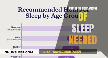 Sleep Sweet Spot: How Much Rest Do We Need?