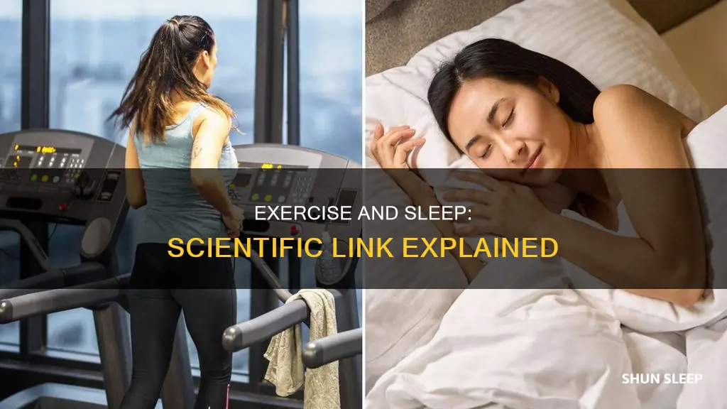 what is the scientific reasoning for working out improving sleep