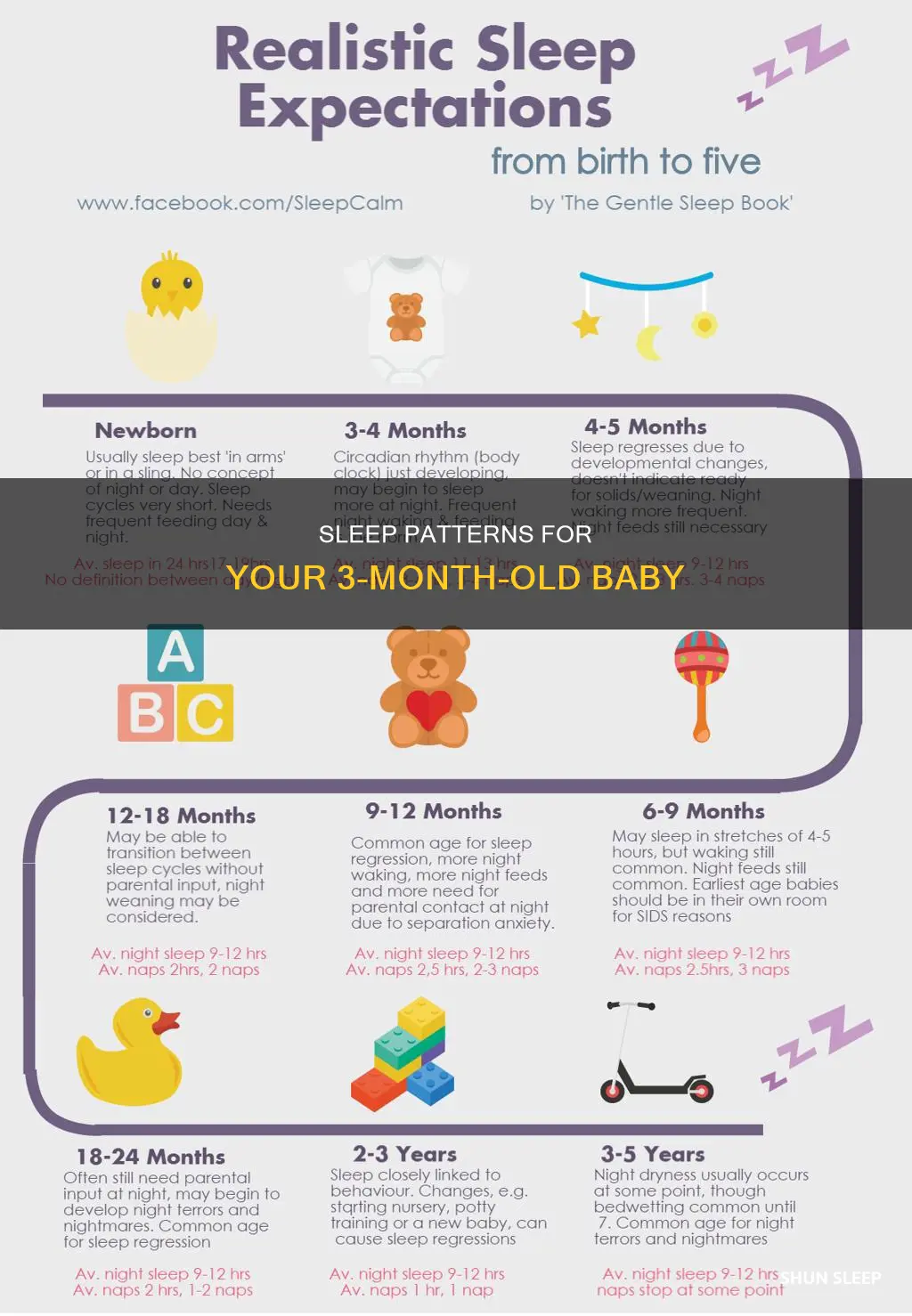 what is the sleep pattern for a 3 month old
