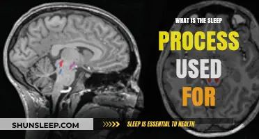 Understanding Sleep: The Sleep Process Explained