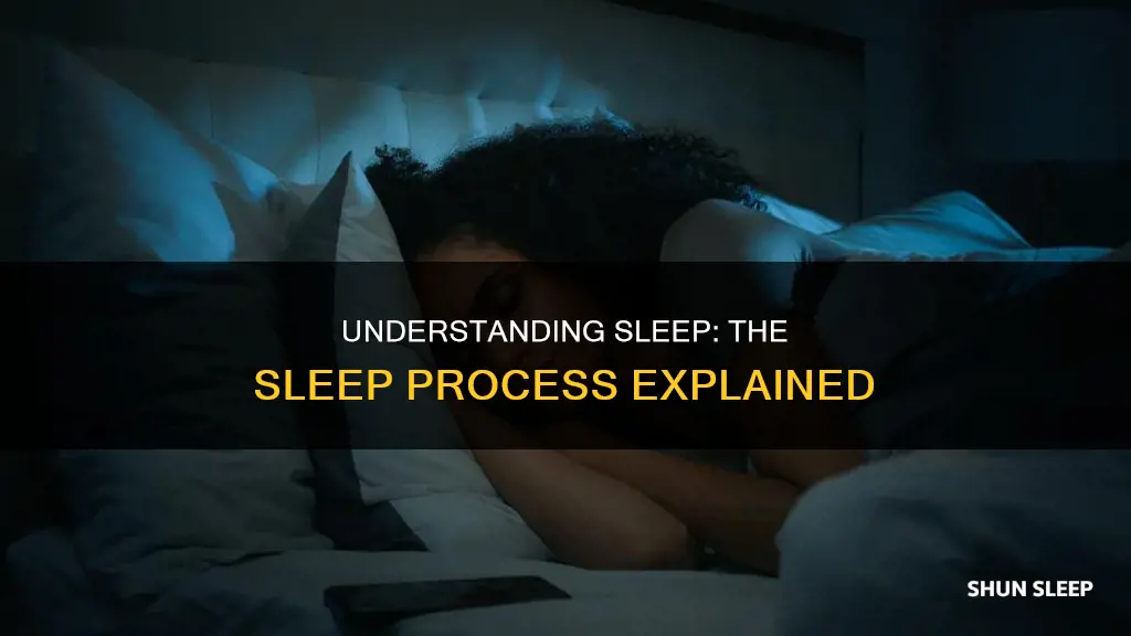what is the sleep process used for