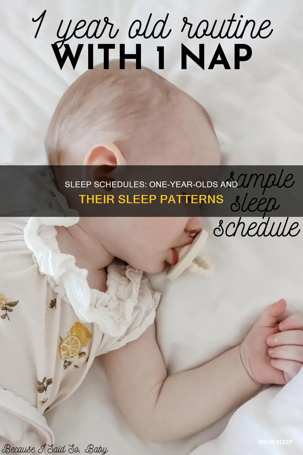 what is the sleep schdeule for a one yar old