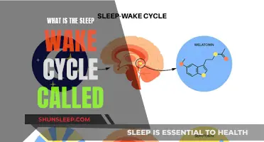 Understanding the Sleep-Wake Cycle: A Natural Rhythm