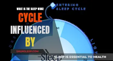 Understanding the Complex Factors Behind Our Sleep-Wake Cycle